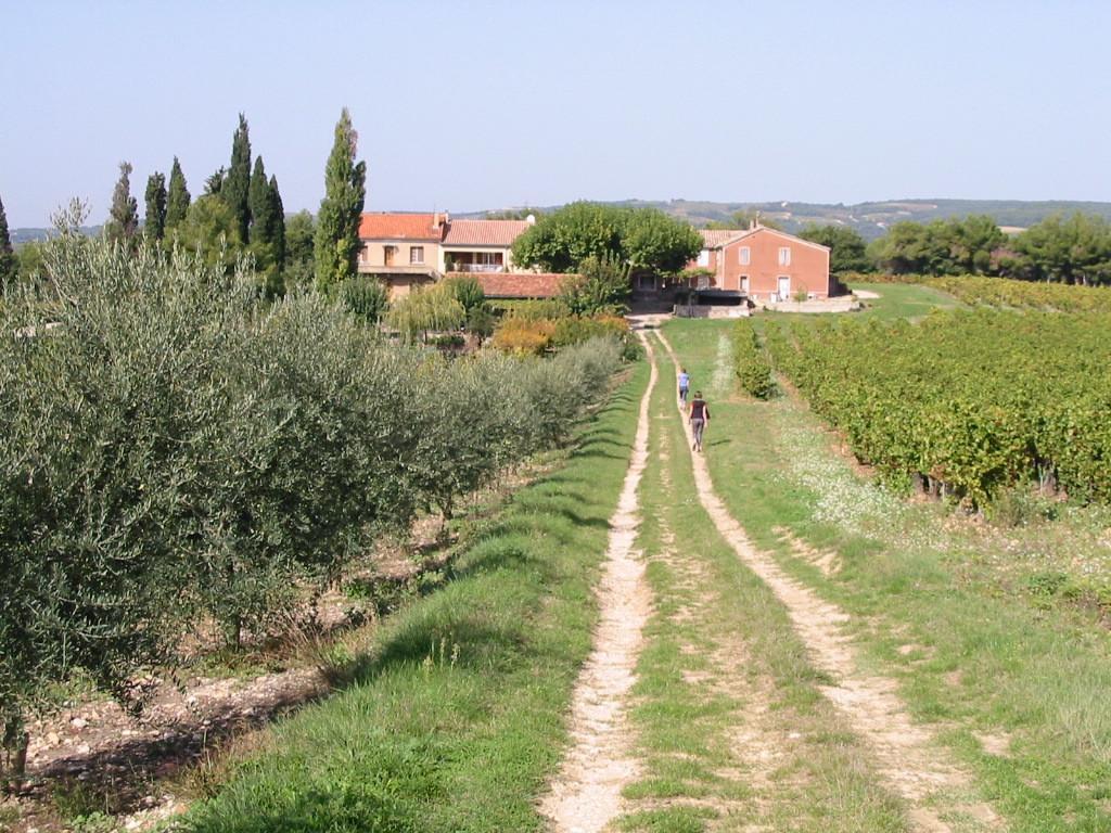Le Petit Champ Villa Buisson Cameră foto